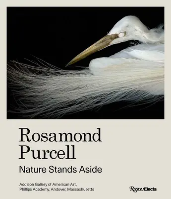 Rosamond Purcell: Die Natur steht im Abseits - Rosamond Purcell: Nature Stands Aside
