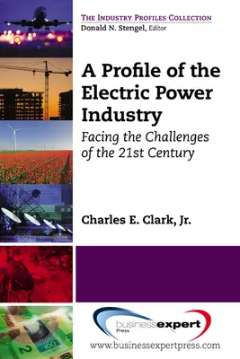 Ein Profil der Elektrizitätswirtschaft: Die Herausforderungen des 21. Jahrhunderts - A Profile of the Electric Power Industry: Facing the Challenges of the 21st Century