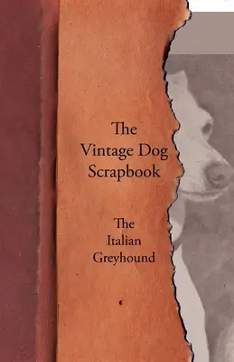 The Vintage Dog Scrapbook - Der Italienische Windhund - The Vintage Dog Scrapbook - The Italian Greyhound