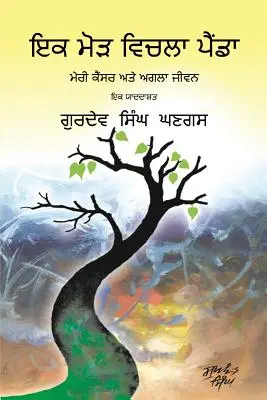 Reise durch einen Wendepunkt: Punjabi-Ausgabe - Journey Through a Turning Point: Punjabi Edition