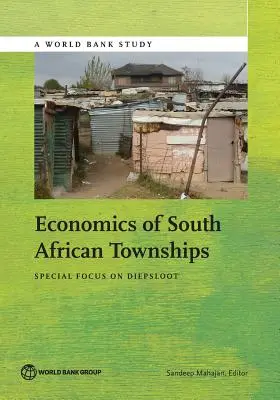 Wirtschaft der südafrikanischen Townships: Besonderes Augenmerk auf Diepsloot - Economics of South African Townships: Special Focus on Diepsloot