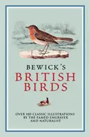 Bewick's British Birds - Über 180 klassische Illustrationen des berühmten Graveurs und Naturforschers - Bewick's British Birds - Over 180 Classic Illustrations by the Famed Engraver and Naturalist