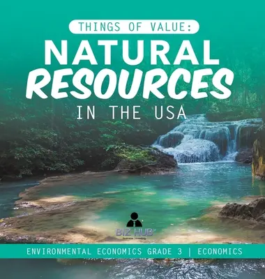 Dinge von Wert: Natürliche Ressourcen in den USA Umweltökonomie Klasse 3 Wirtschaft - Things of Value: Natural Resources in the USA Environmental Economics Grade 3 Economics