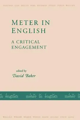 Meter auf Englisch: Eine kritische Auseinandersetzung - Meter in English: A Critical Engagement