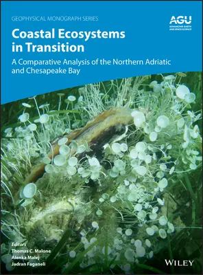 Küstenökosysteme im Umbruch: Eine vergleichende Analyse der nördlichen Adria und der Chesapeake Bay - Coastal Ecosystems in Transition: A Comparative Analysis of the Northern Adriatic and Chesapeake Bay