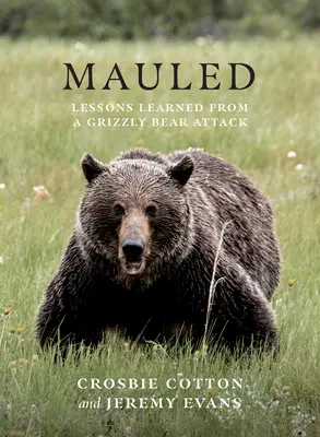 Zerfleischt: Lehren aus einem Grizzlybär-Angriff - Mauled: Lessons Learned from a Grizzly Bear Attack