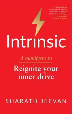 Intrinsisch: Ein Manifest zur Wiederbelebung Ihres inneren Antriebs - Intrinsic: A Manifesto to Reignite Your Inner Drive