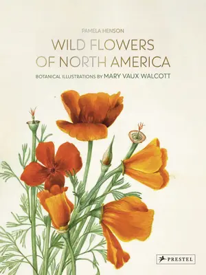 Wildblumen Nordamerikas: Botanische Illustrationen von Mary Vaux Walcott - Wild Flowers of North America: Botanical Illustrations by Mary Vaux Walcott