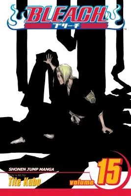 Bleach, Band 15: Band 15 - Bleach, Vol. 15: Volume 15