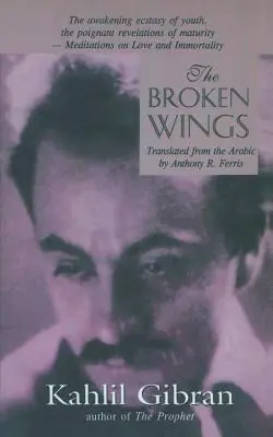 Die gebrochenen Schwingen - The Broken Wings