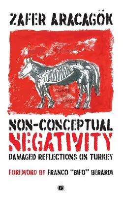 Nicht-konzeptionelle Negativität: Beschädigte Reflexionen über die Türkei - Non-Conceptual Negativity: Damaged Reflections on Turkey