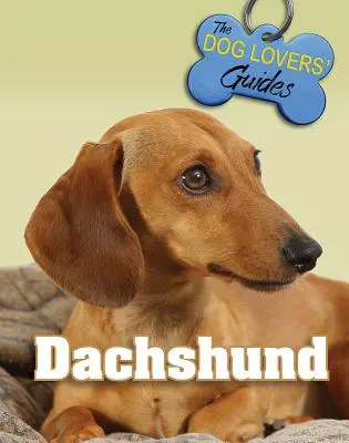 Dackel - Dachshund