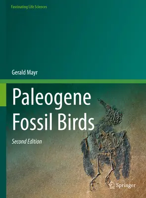 Fossile Vögel aus dem Paläogen - Paleogene Fossil Birds