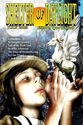 Unterschlupf des Tageslichts Juli 2023 - Shelter of Daylight July 2023