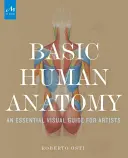 Grundlegende menschliche Anatomie: Ein wesentlicher visueller Leitfaden für Künstler - Basic Human Anatomy: An Essential Visual Guide for Artists