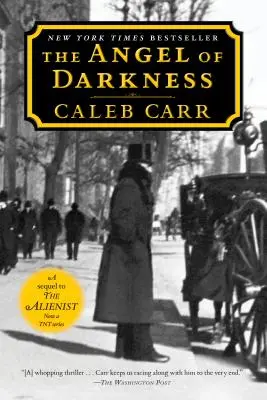 Der Engel der Finsternis: Buch 2 des Alienisten - The Angel of Darkness: Book 2 of the Alienist