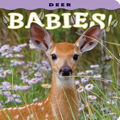 Hirschbabys! - Deer Babies!