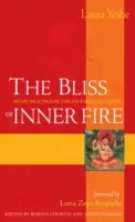 Die Glückseligkeit des inneren Feuers: Die Herzenspraxis der sechs Yogas von Naropa - The Bliss of Inner Fire: Heart Practice of the Six Yogas of Naropa