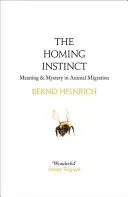 Heimkehrer-Instinkt - Homing Instinct