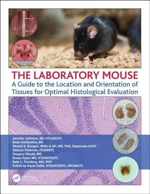 Die Labormaus: Ein Leitfaden zur Lage und Ausrichtung von Geweben für eine optimale histologische Auswertung - The Laboratory Mouse: A Guide to the Location and Orientation of Tissues for Optimal Histological Evaluation