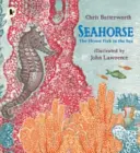 Seepferdchen: Der schüchternste Fisch im Meer - Seahorse: The Shyest Fish in the Sea