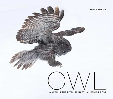 Owl: Ein Jahr im Leben der nordamerikanischen Eulen - Owl: A Year in the Lives of North American Owls