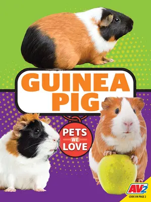 Meerschweinchen - Guinea Pig