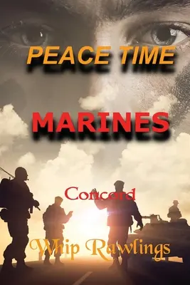 Friedenszeit Marinesoldaten - Peace Time Marines