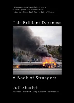 Diese strahlende Dunkelheit: Ein Buch über Fremde - This Brilliant Darkness: A Book of Strangers