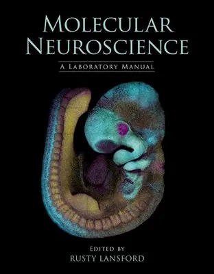 Molekulare Neurowissenschaften: Ein Laborhandbuch - Molecular Neuroscience: A Laboratory Manual