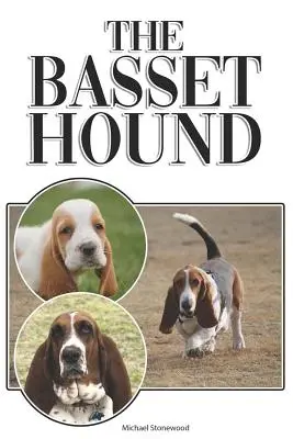 Der Basset Hound: Ein kompletter und umfassender Leitfaden für Einsteiger: Kaufen, Besitzen, Gesundheit, Pflege, Training, Gehorsam, Verstehen - The Basset Hound: A Complete and Comprehensive Beginners Guide To: Buying, Owning, Health, Grooming, Training, Obedience, Understanding
