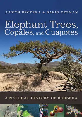 Elefantenbäume, Copales und Cuajiotes: Eine Naturgeschichte der Bursera - Elephant Trees, Copales, and Cuajiotes: A Natural History of Bursera