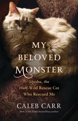 Mein geliebtes Monster: Mascha, die halbwilde Rettungskatze, die mich gerettet hat - My Beloved Monster: Masha, the Half-Wild Rescue Cat Who Rescued Me