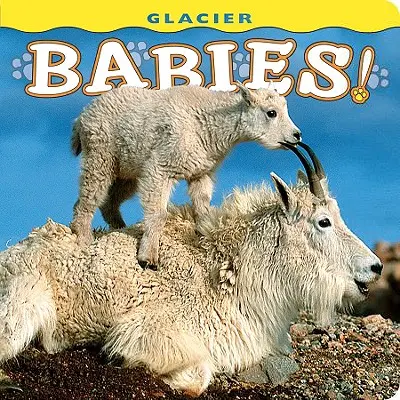 Gletscher-Babys! - Glacier Babies!
