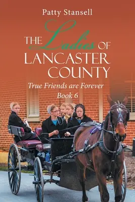 Die Damen von Lancaster County: Wahre Freunde sind für immer: Buch 6 - The Ladies of Lancaster County: True Friends are Forever: Book 6