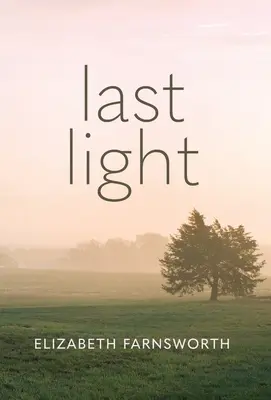 Das letzte Licht - Last Light