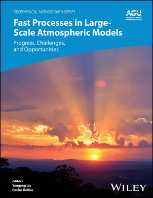 Schnelle Prozesse in großmaßstäblichen Atmosphärenmodellen: Fortschritte, Herausforderungen und Möglichkeiten - Fast Processes in Large-Scale Atmospheric Models: Progress, Challenges, and Opportunities