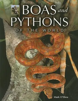 Boas und Pythons der Welt - Boas and Pythons of the World