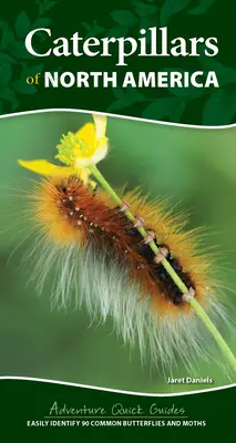 Raupen Nordamerikas: 90 häufige Schmetterlinge und Nachtfalter leicht identifizieren - Caterpillars of North America: Easily Identify 90 Common Butterflies and Moths