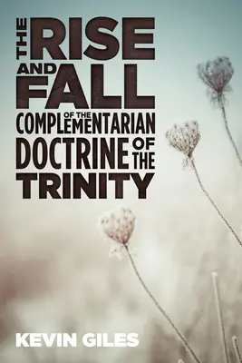 Aufstieg und Fall der komplementären Trinitätslehre - The Rise and Fall of the Complementarian Doctrine of the Trinity