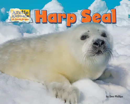 Harfenrobbe - Harp Seal