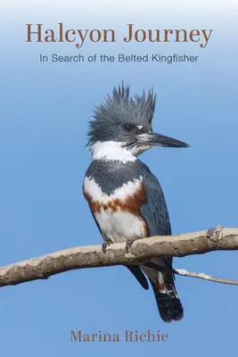 Halcyon Journey: Auf der Suche nach dem Gürtelliest - Halcyon Journey: In Search of the Belted Kingfisher