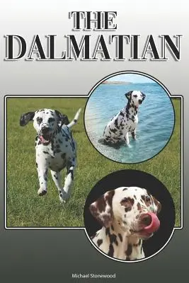 Der Dalmatiner: Ein komplettes und umfassendes Handbuch für Dalmatiner-Besitzer: Kauf, Besitz, Gesundheit, Pflege, Training, Gehorsam, Verstehen und - The Dalmatian: A Complete and Comprehensive Owners Guide To: Buying, Owning, Health, Grooming, Training, Obedience, Understanding and