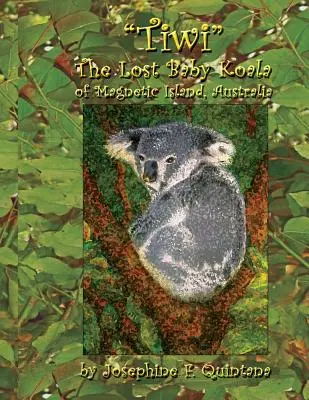 Tiwi, das verlorene Koala-Baby von Magnetic Island, Australien - Tiwi, the Lost Baby Koala of Magnetic Island, Australia