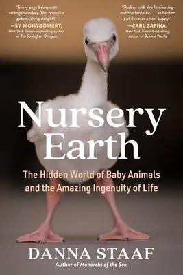 Das Kinderzimmer Erde: Die verborgene Welt der Babytiere und der erstaunliche Einfallsreichtum des Lebens - Nursery Earth: The Hidden World of Baby Animals and the Amazing Ingenuity of Life