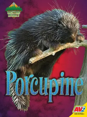Stachelschwein - Porcupine
