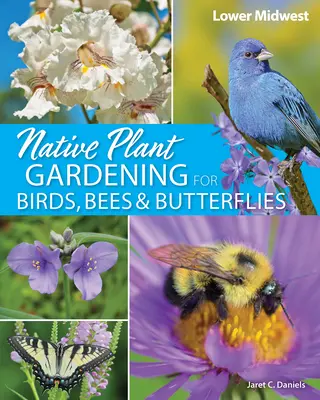 Einheimische Pflanzen im Garten für Vögel, Bienen und Schmetterlinge: Unterer Mittlerer Westen - Native Plant Gardening for Birds, Bees & Butterflies: Lower Midwest