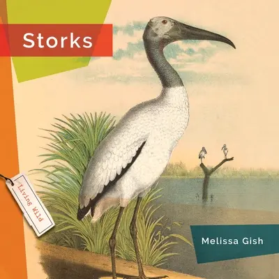 Störche - Storks