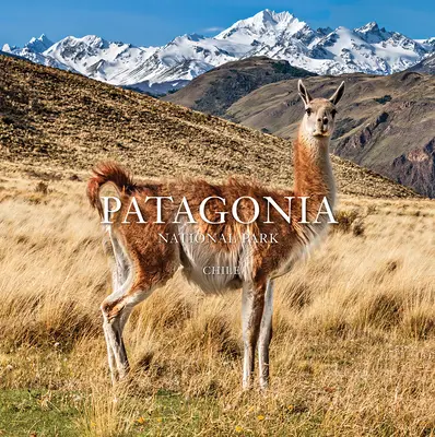 Patagonien-Nationalpark: Chile: Chile - Patagonia National Park: Chile: Chile