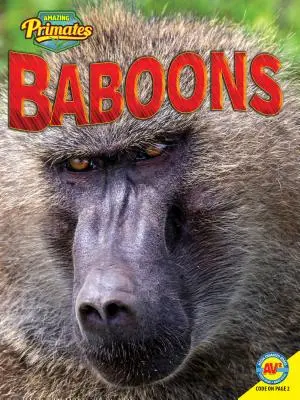 Paviane - Baboons